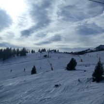 IMG_20160127_140232