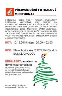 Fotbalový miniturnaj vánoční2019.jpg